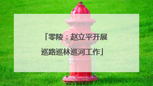 零陵：赵立平开展巡路巡林巡河工作