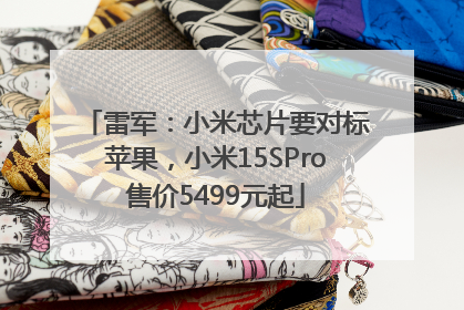 雷军：小米芯片要对标苹果，小米15SPro售价5499元起