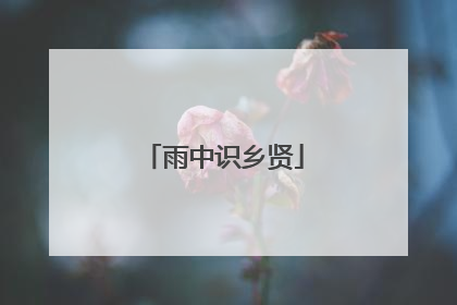 雨中识乡贤