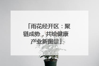 雨花经开区：聚链成势，共绘健康产业新图景
