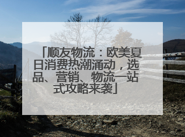 顺友物流：欧美夏日消费热潮涌动，选品、营销、物流一站式攻略来袭