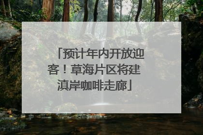 预计年内开放迎客！草海片区将建滇岸咖啡走廊