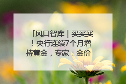 风口智库｜买买买！央行连续7个月增持黄金，专家：金价或仍易涨难跌