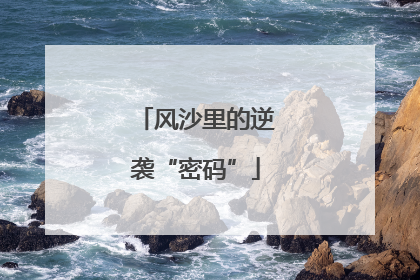 风沙里的逆袭“密码”