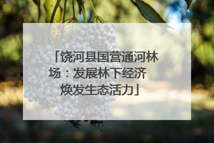 饶河县国营通河林场：发展林下经济 焕发生态活力