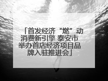 首发经济“燃”动消费新引擎 泰安市举办首店经济项目品牌入驻推进会
