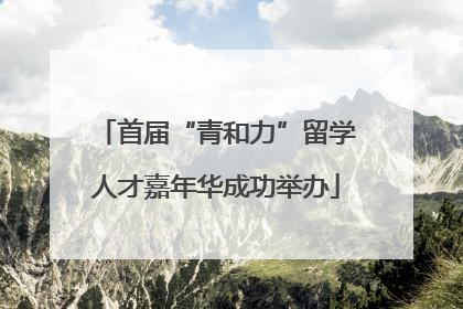 首届“青和力”留学人才嘉年华成功举办