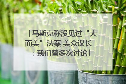 马斯克称没见过“大而美”法案 美众议长：我们曾多次讨论