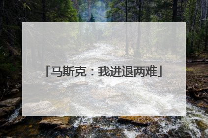 马斯克：我进退两难