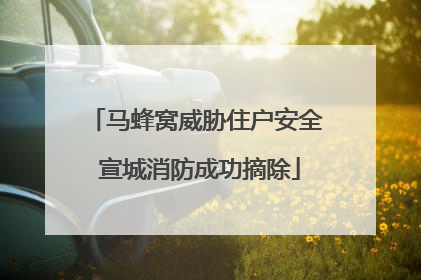 马蜂窝威胁住户安全 宣城消防成功摘除
