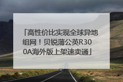 高性价比实现全球异地组网！贝锐蒲公英R300A海外版上架速卖通