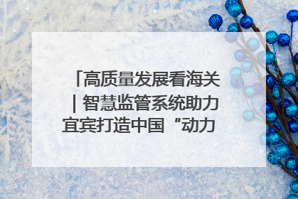 高质量发展看海关｜智慧监管系统助力宜宾打造中国“动力电池之都”