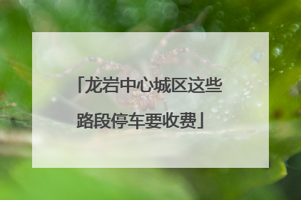 龙岩中心城区这些路段停车要收费