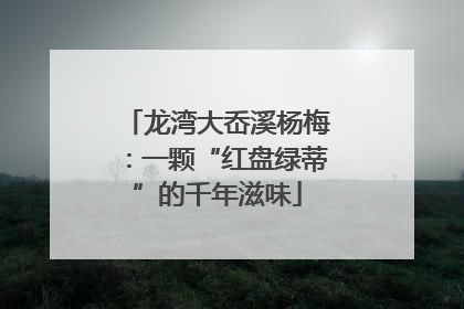 龙湾大岙溪杨梅：一颗“红盘绿蒂”的千年滋味