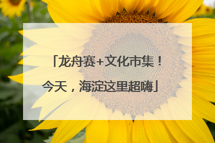 龙舟赛+文化市集！今天，海淀这里超嗨