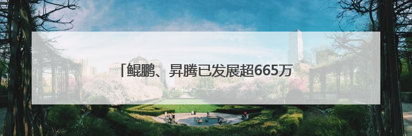 鲲鹏、昇腾已发展超665万开发者，今年将进一步开放