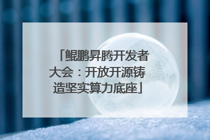 鲲鹏昇腾开发者大会：开放开源铸造坚实算力底座