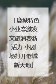 鹿城特色小业态激发文旅消费新活力 小剧场打开老城新天地