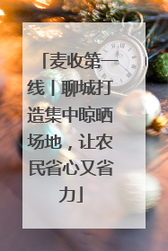 麦收第一线丨聊城打造集中晾晒场地，让农民省心又省力