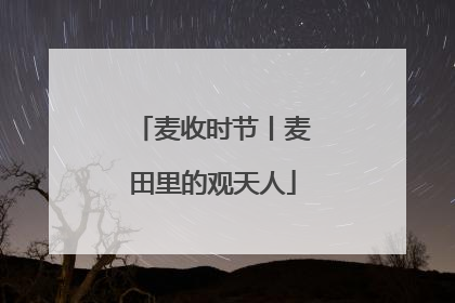 麦收时节丨麦田里的观天人