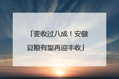 麦收过八成！安徽夏粮有望再迎丰收
