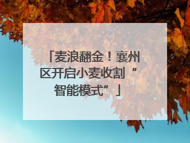 麦浪翻金！襄州区开启小麦收割“智能模式”