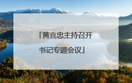 黄喜忠主持召开书记专题会议