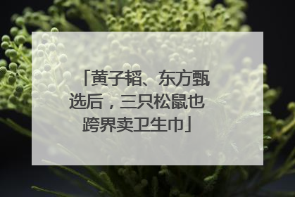 黄子韬、东方甄选后，三只松鼠也跨界卖卫生巾