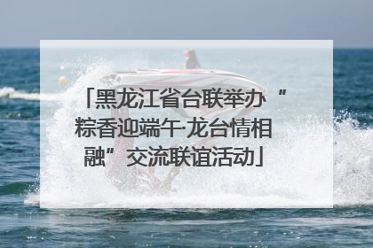 黑龙江省台联举办“粽香迎端午·龙台情相融”交流联谊活动