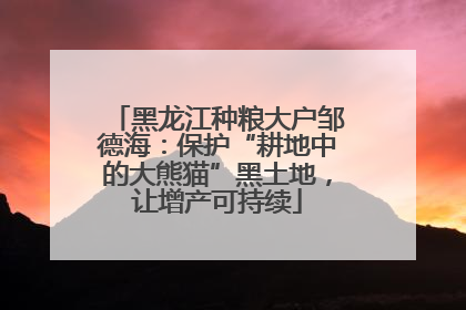 黑龙江种粮大户邹德海：保护“耕地中的大熊猫”黑土地，让增产可持续