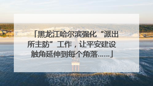 黑龙江哈尔滨强化“派出所主防”工作，让平安建设触角延伸到每个角落……