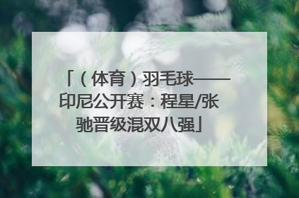 （体育）羽毛球——印尼公开赛：程星/张驰晋级混双八强