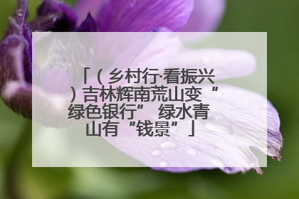 （乡村行·看振兴）吉林辉南荒山变“绿色银行” 绿水青山有“钱景”