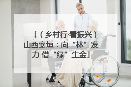 （乡村行·看振兴）山西襄垣：向“林”发力 借“绿”生金