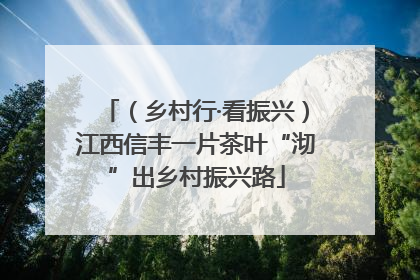 （乡村行·看振兴）江西信丰一片茶叶“沏”出乡村振兴路