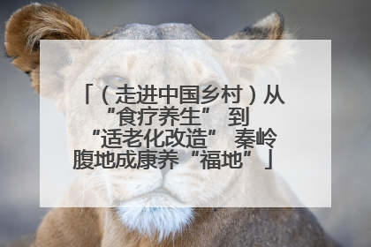 （走进中国乡村）从 “食疗养生” 到 “适老化改造” 秦岭腹地成康养“福地”