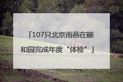 107只北京雨燕在颐和园完成年度“体检”