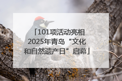 101项活动亮相 2025年青岛“文化和自然遗产日”启幕