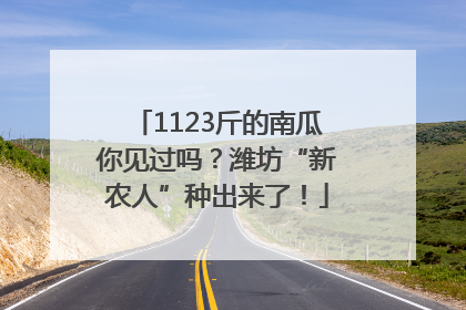 1123斤的南瓜你见过吗？潍坊“新农人”种出来了！