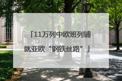 11万列中欧班列铺就亚欧“钢铁丝路”