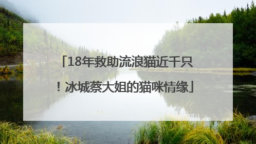 18年救助流浪猫近千只！冰城蔡大姐的猫咪情缘