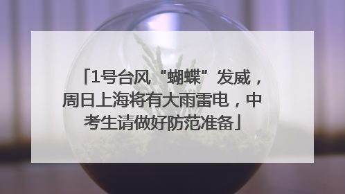 1号台风“蝴蝶”发威，周日上海将有大雨雷电，中考生请做好防范准备