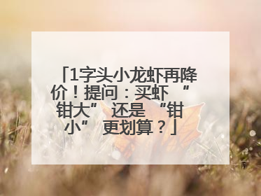 1字头小龙虾再降价！提问：买虾 “钳大” 还是 “钳小” 更划算？