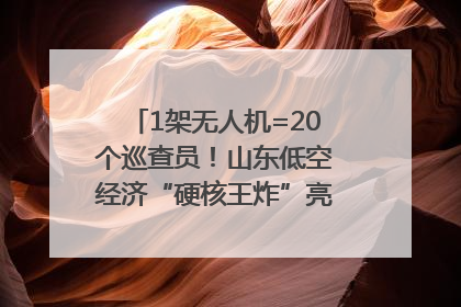 1架无人机=20个巡查员！山东低空经济“硬核王炸”亮相青岛，下一个万亿赛道藏在这里