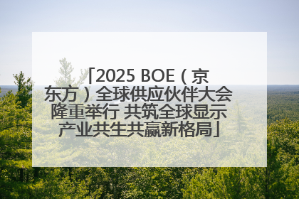 2025 BOE（京东方）全球供应伙伴大会隆重举行 共筑全球显示产业共生共赢新格局