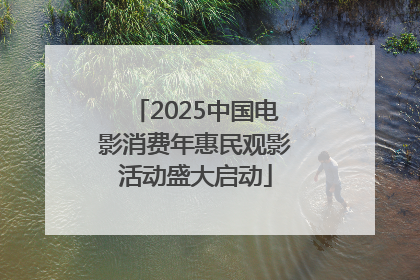 2025中国电影消费年惠民观影活动盛大启动