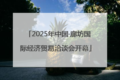 2025年中国·廊坊国际经济贸易洽谈会开幕