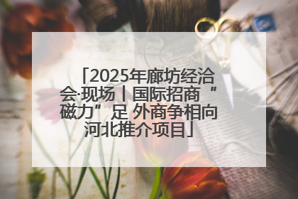 2025年廊坊经洽会·现场丨国际招商“磁力”足 外商争相向河北推介项目