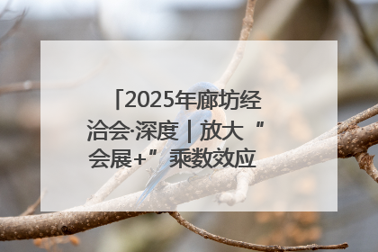 2025年廊坊经洽会·深度｜放大“会展+”乘数效应 打造消费新场景