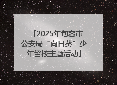 2025年句容市公安局“向日葵”少年警校主题活动